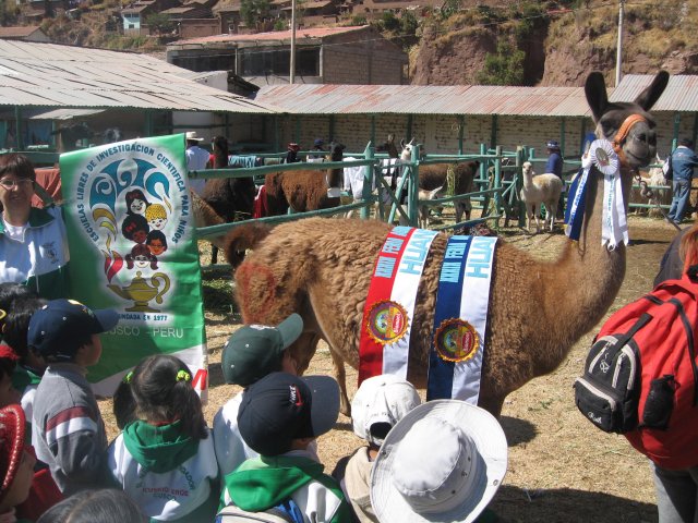 Elic, Cusco_ Colegio Kuski Erqe